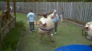 2011 Cinco De Mayo_32
