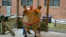 2011 Cinco De Mayo_39