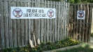 Luau Pig Roast 2012_30