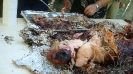 Luau Pig Roast 2012_3